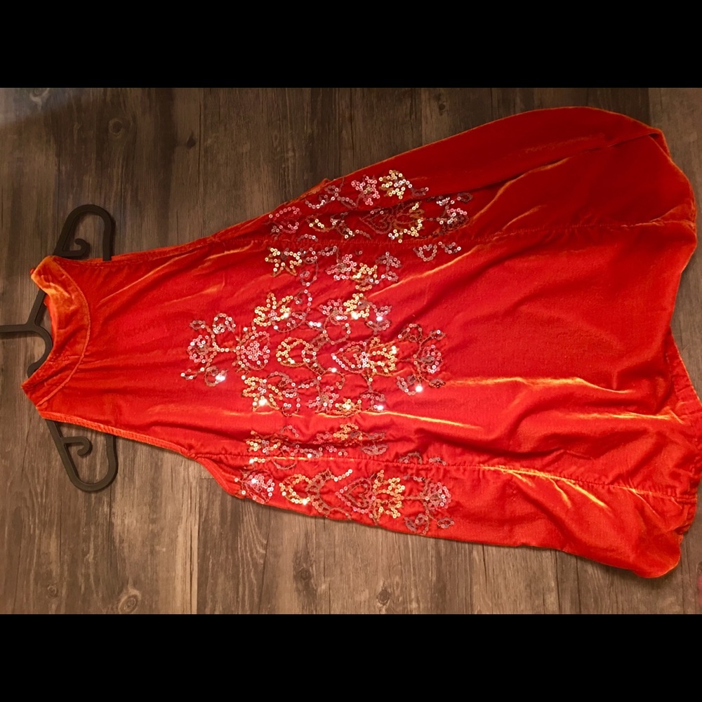 Gorgeous velvet free people dress!